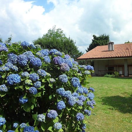 B&B Cuei di Baret Tricesimo Bagian luar foto
