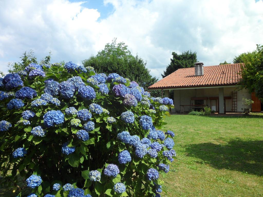 B&B Cuei di Baret Tricesimo Bagian luar foto