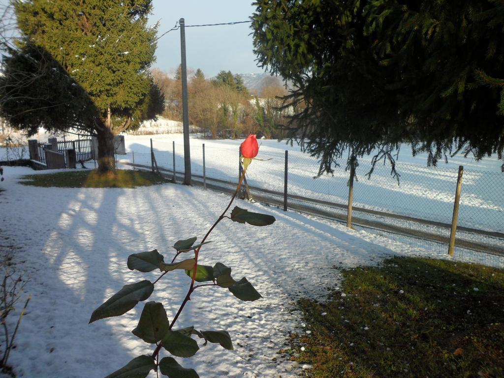 B&B Cuei di Baret Tricesimo Bagian luar foto