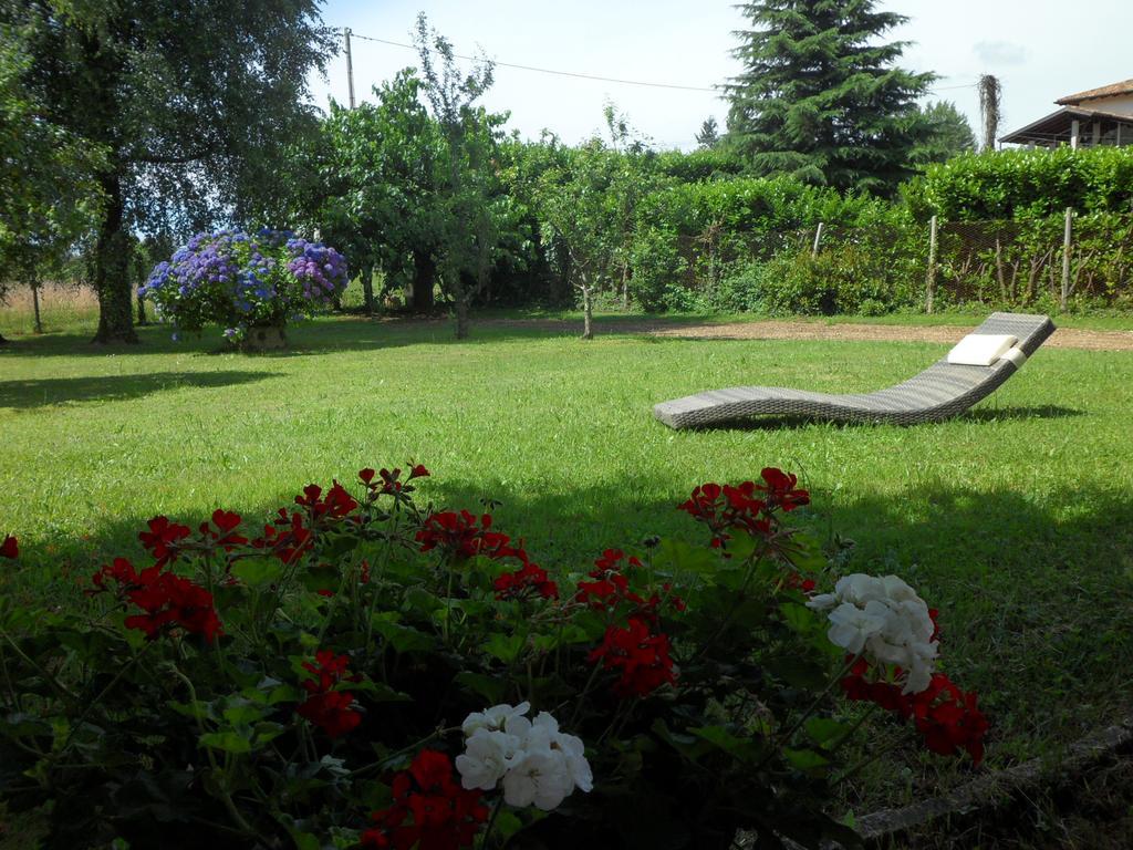 B&B Cuei di Baret Tricesimo Bagian luar foto
