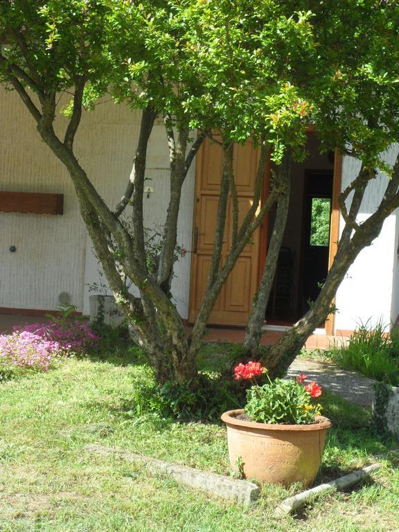 B&B Cuei di Baret Tricesimo Bagian luar foto