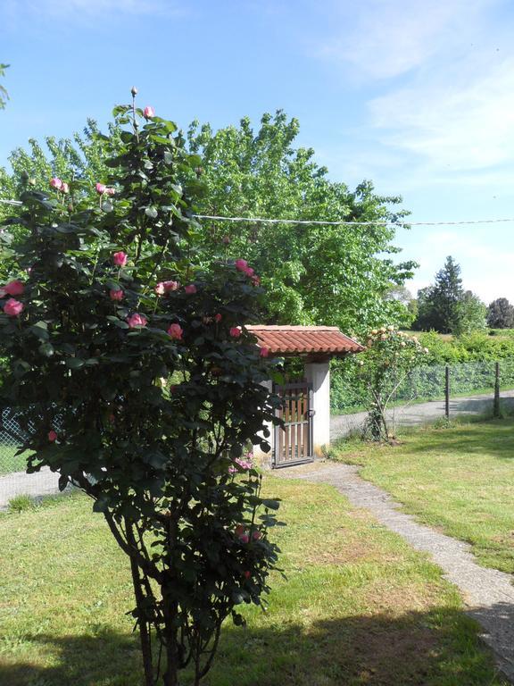 B&B Cuei di Baret Tricesimo Bagian luar foto