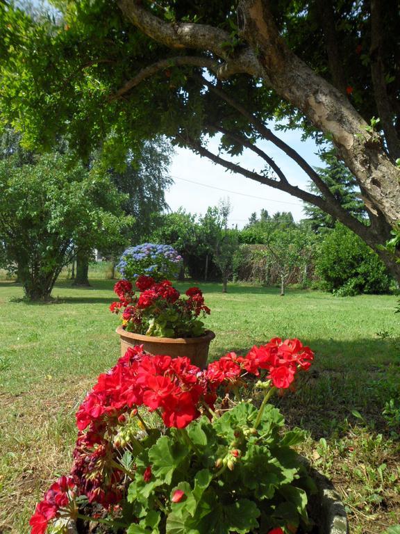 B&B Cuei di Baret Tricesimo Bagian luar foto